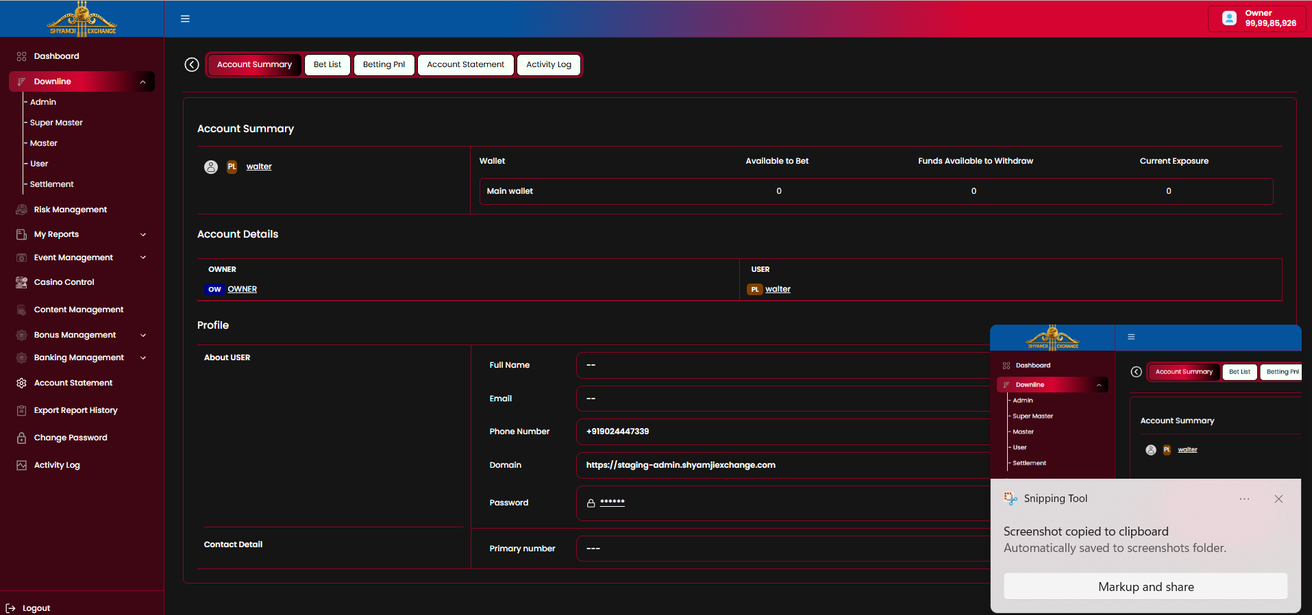 End user profile — Account Summary tab