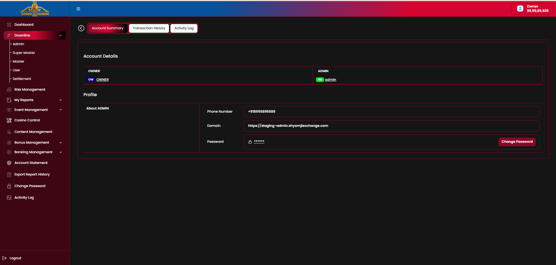 Downline profile — Account Summary tab